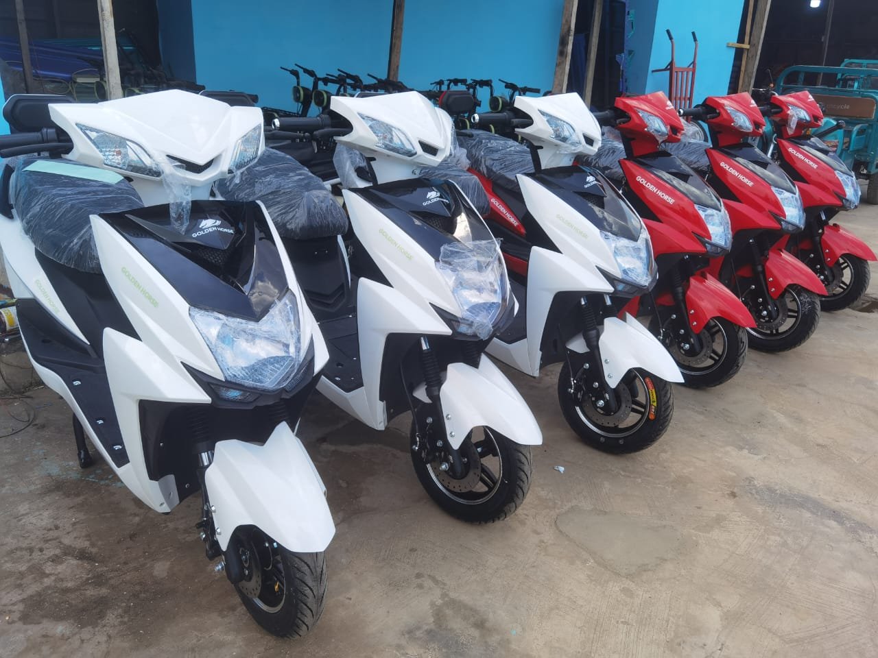 WhatsApp Image 2025-10-18 at 13.23.29_6fb89681