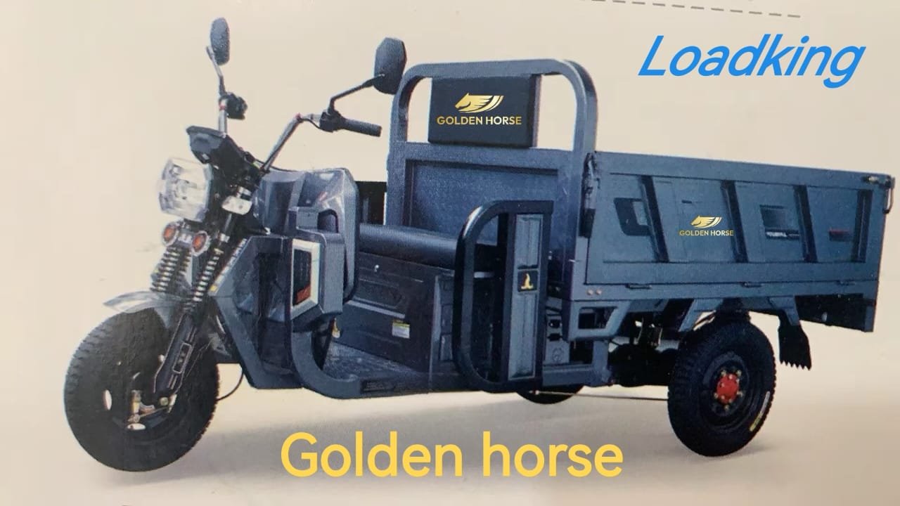 WhatsApp Image 2025-10-18 at 18.03.30_21e61759